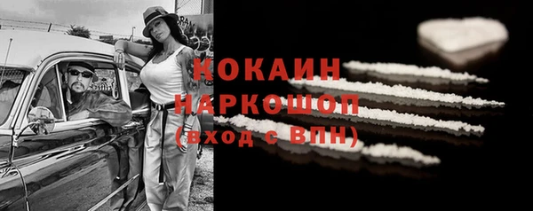 прущие грибы Абаза