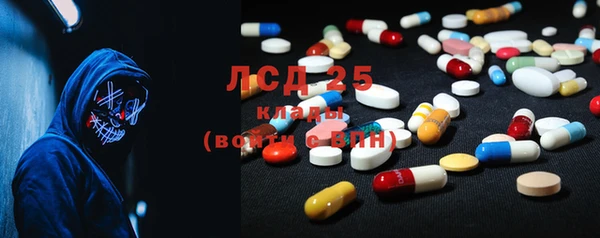 прущие грибы Абаза