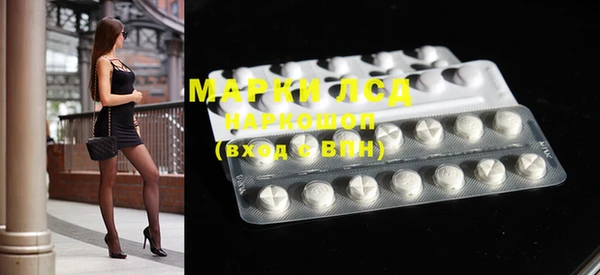 прущие грибы Абаза
