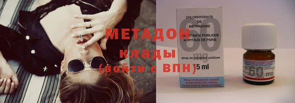 прущие грибы Абаза