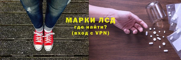 прущие грибы Абаза