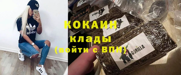 прущие грибы Абаза