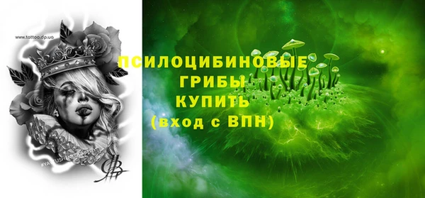 прущие грибы Абаза