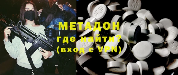 прущие грибы Абаза