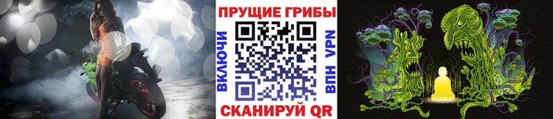 Псилоцибиновые грибы ЛСД  даркнет сайт  Сорск 