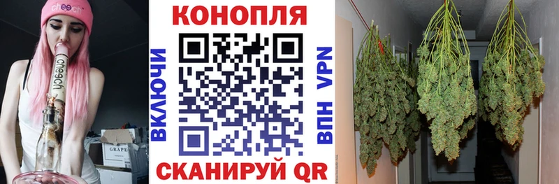 Канабис VHQ  продажа наркотиков  Сорск 